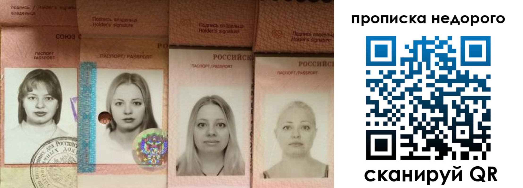прописка в Волосово
