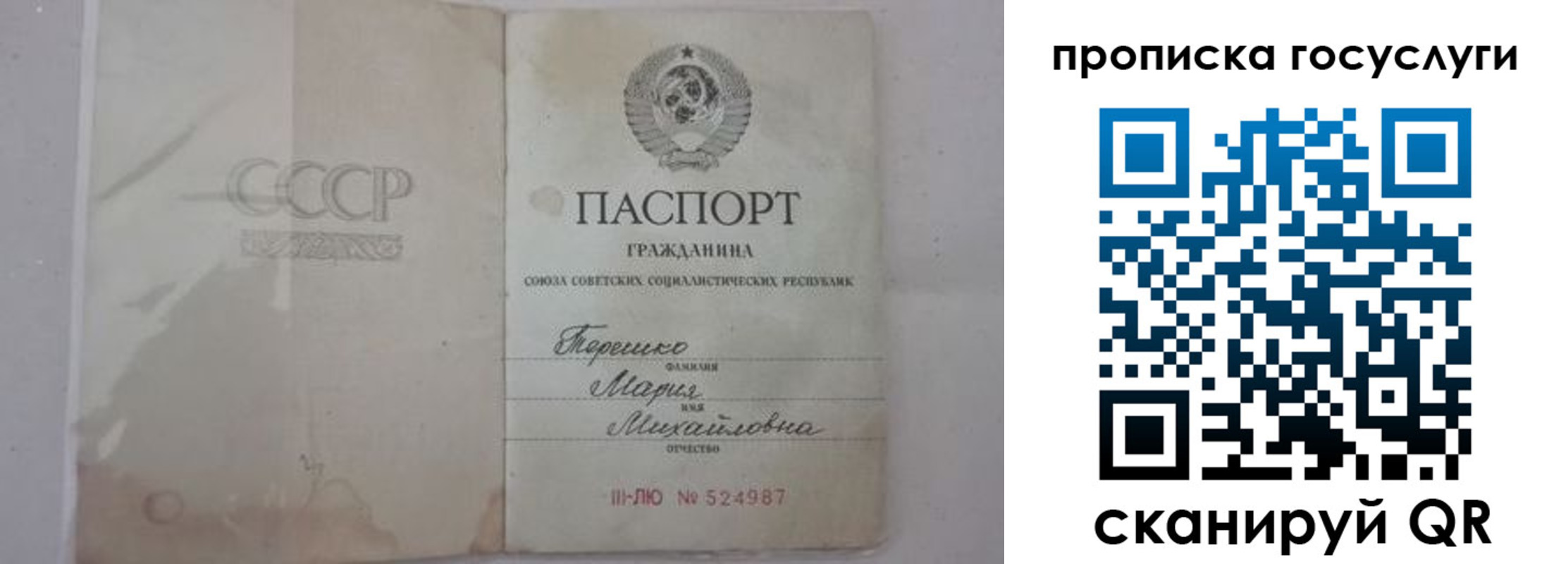 прописка ребенка в Волосово